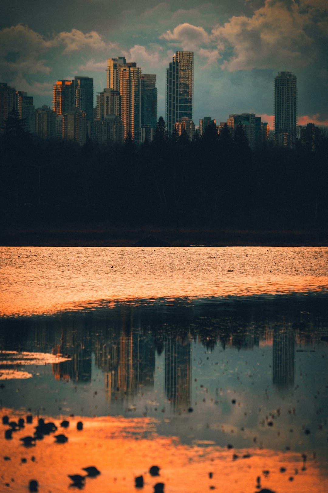 Burnaby skyline
