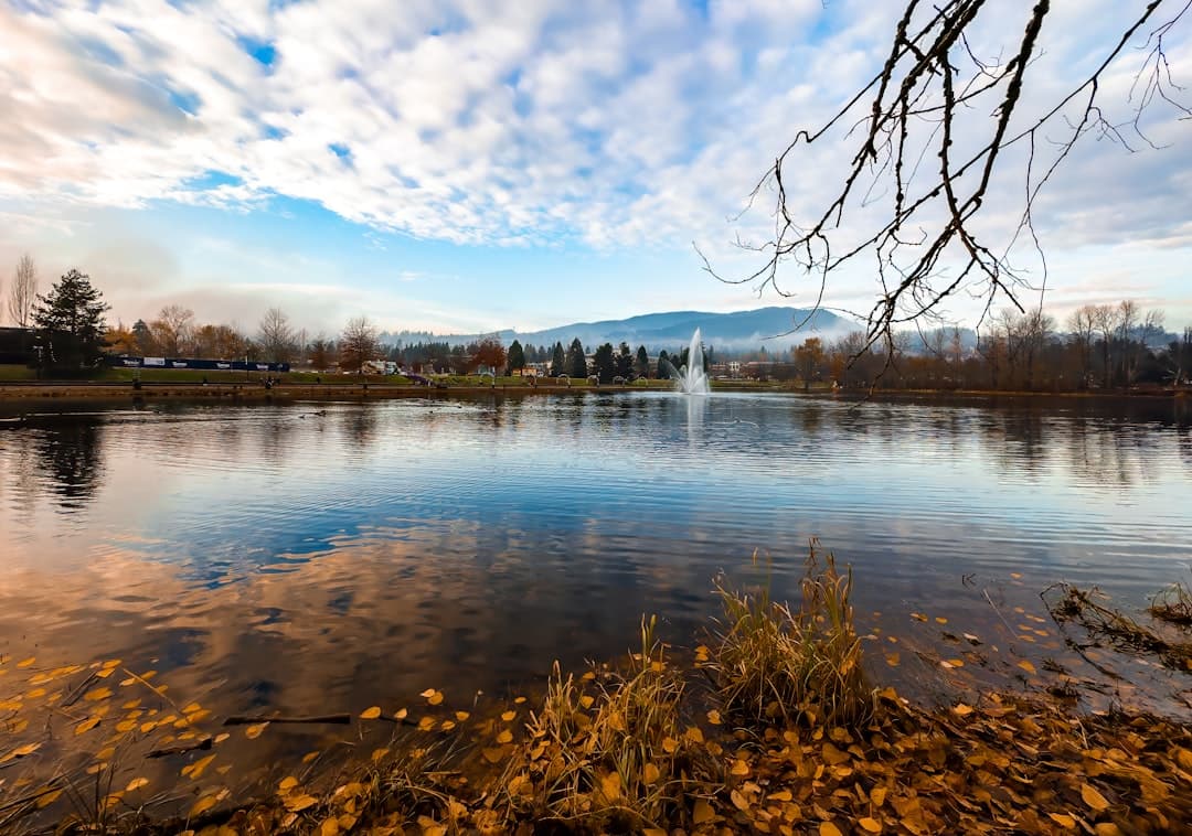 Coquitlam skyline