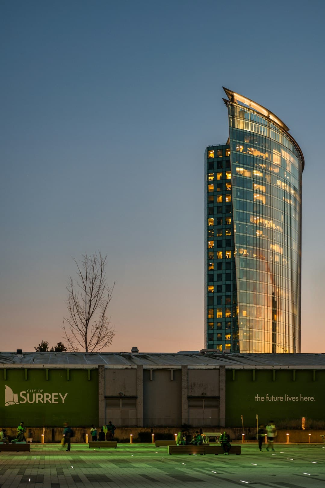 Surrey skyline