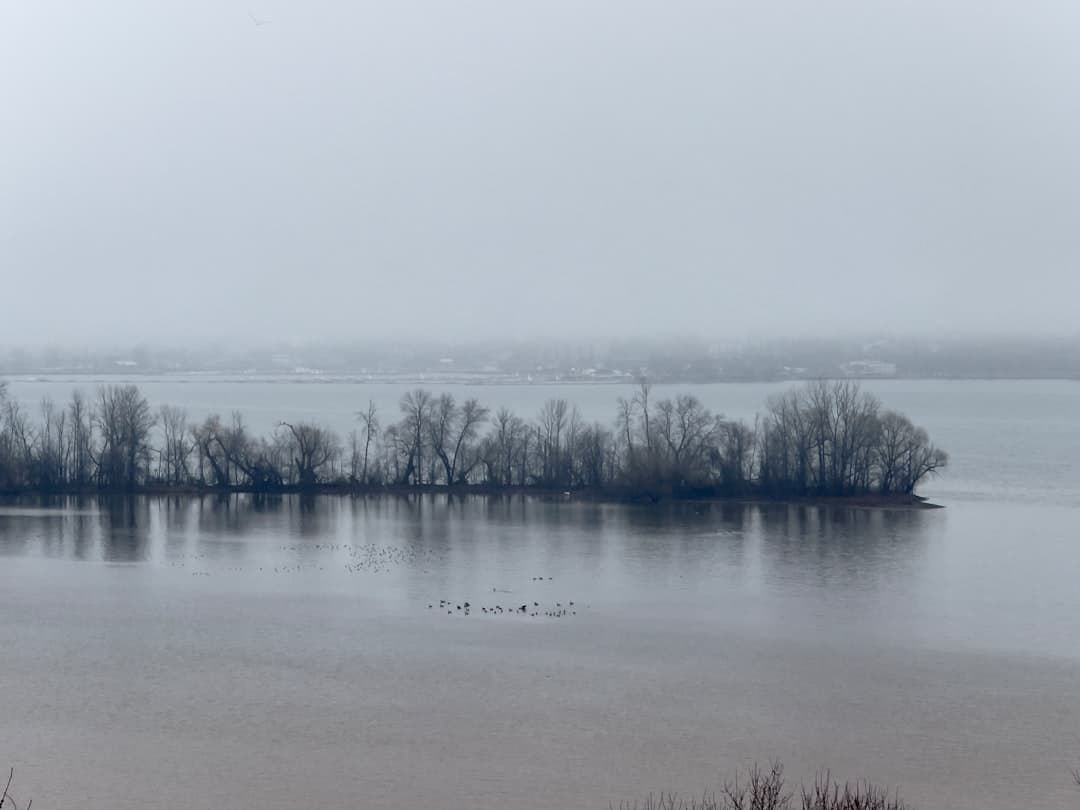 Burlington skyline
